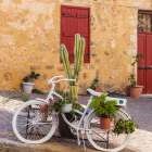 Greece, Crete, Chania, Old Town. White bicycle and cactus. Art Print